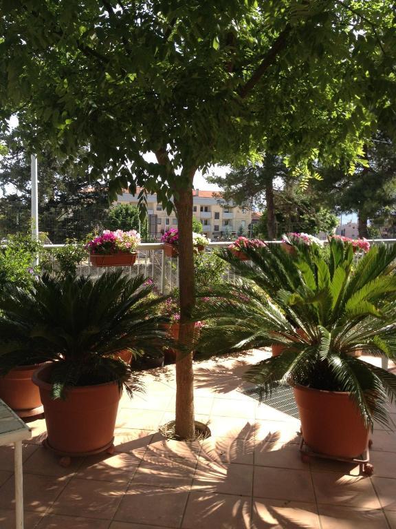 B&B Solacium Матера Экстерьер фото